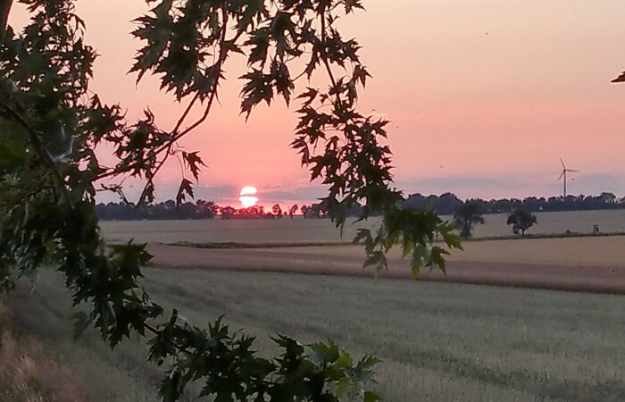Sommeransitz1 Blick vom Sommeransitz