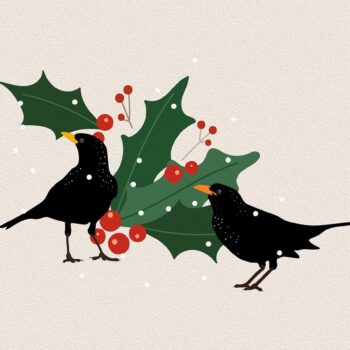 Bild von Bianca Van Dijk auf Pixabay