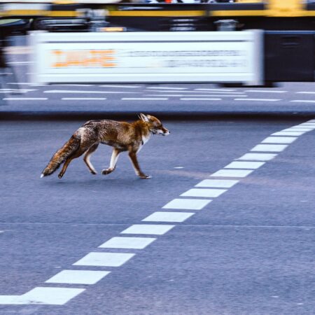 Bild von 12138562O auf Pixabay Bild von 12138562O auf Pixabay