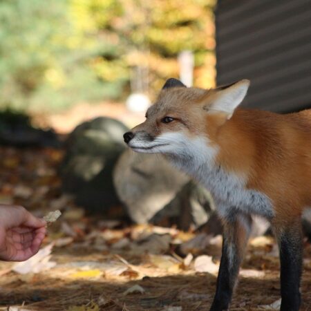 Bild von dcanandianphotographer1 auf Pixabay Bild von dcanandianphotographer1 auf Pixabay