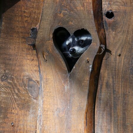 Bild von dianakuehn30010 auf Pixabay Bild von dianakuehn30010 auf Pixabay