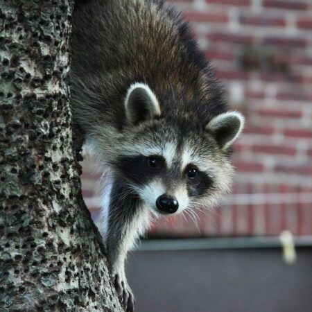 Bild von PublicDomainPictures auf Pixabay Bild von PublicDomainPictures auf Pixabay