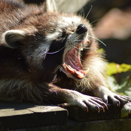 Bild von dodo71 auf Pixabay Bild von dodo71 auf Pixabay