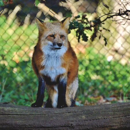 Bild von Ralphs_Fotos auf Pixabay Bild von Ralphs_Fotos auf Pixabay