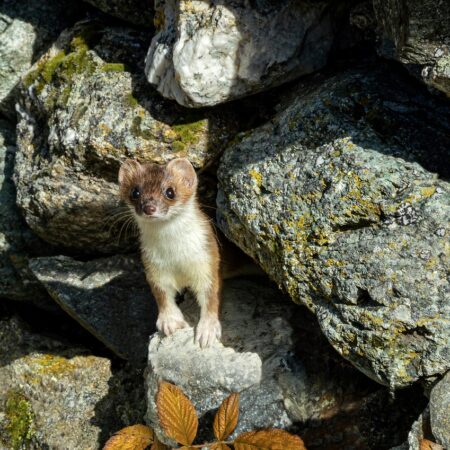 Bild von 165106 auf Pixabay Bild von 165106 auf Pixabay