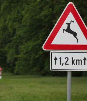 traffic-sign-2291133_1280 Bild von GoranH auf Pixabay