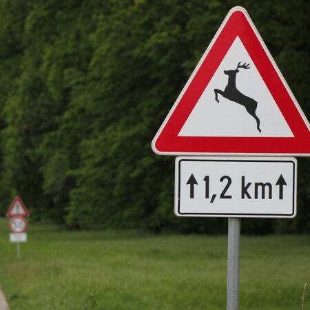 traffic-sign-2291133_1280 Bild von GoranH auf Pixabay