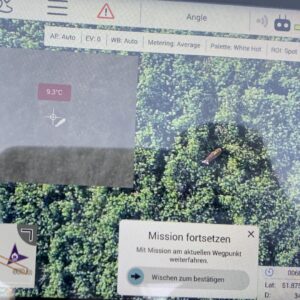 IMG_3007 (1) IMG_3007 (1)