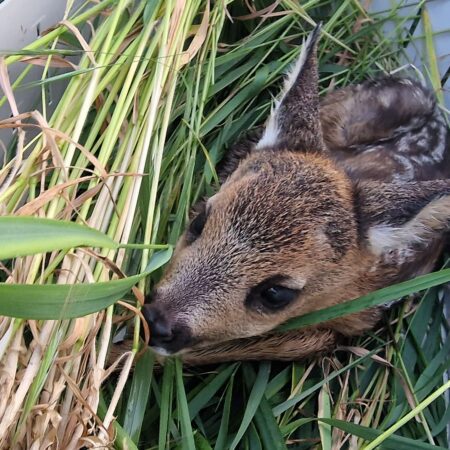 PHOTO-2023-05-29-06-17-59 PHOTO-2023-05-29-06-17-59