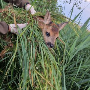 PHOTO-2023-06-09-05-44-50 PHOTO-2023-06-09-05-44-50