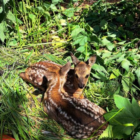 PHOTO-2023-06-10-19-42-43 PHOTO-2023-06-10-19-42-43