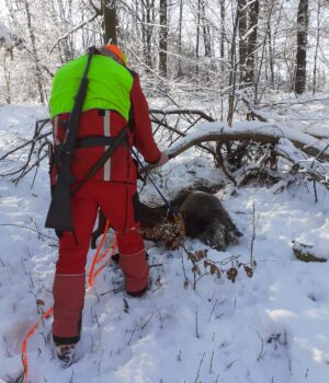 d41b410d-159e-4c05-be01-c75095d51610 d41b410d-159e-4c05-be01-c75095d51610