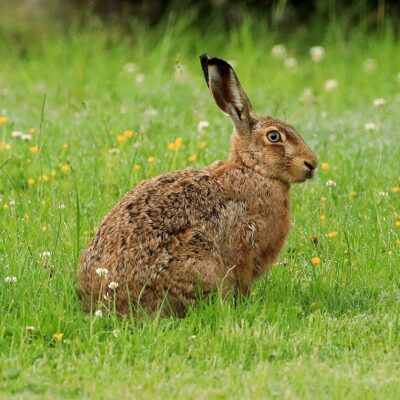 Bild von WFranz auf Pixabay Bild von WFranz auf Pixabay