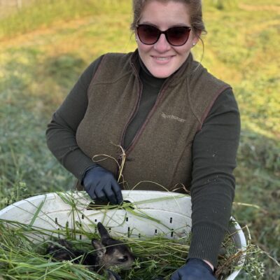 © Copyright S. Schmalian