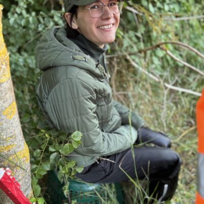 © Copyright S. Schmalian