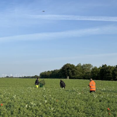 © Copyright S. Schmalian