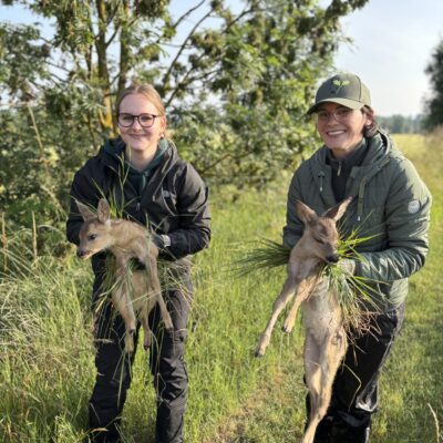 © Copyright S. Schmalian