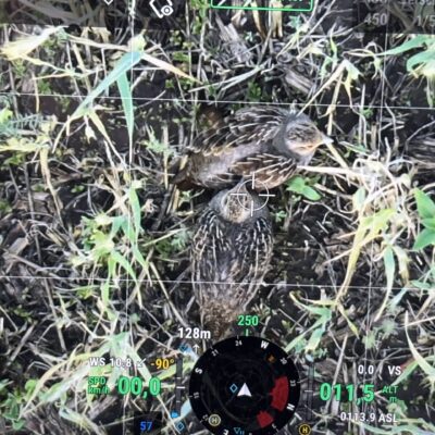 © Copyright S. Schmalian