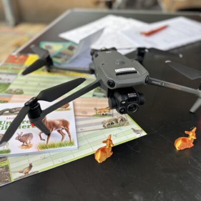 © Copyright S. Schmalian