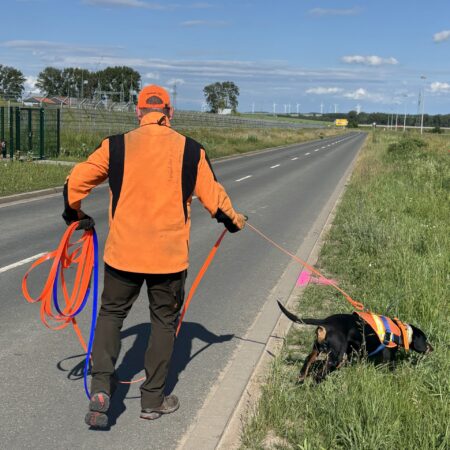Nachsuchengruppe Oschersleben Nachsuchengruppe Oschersleben
