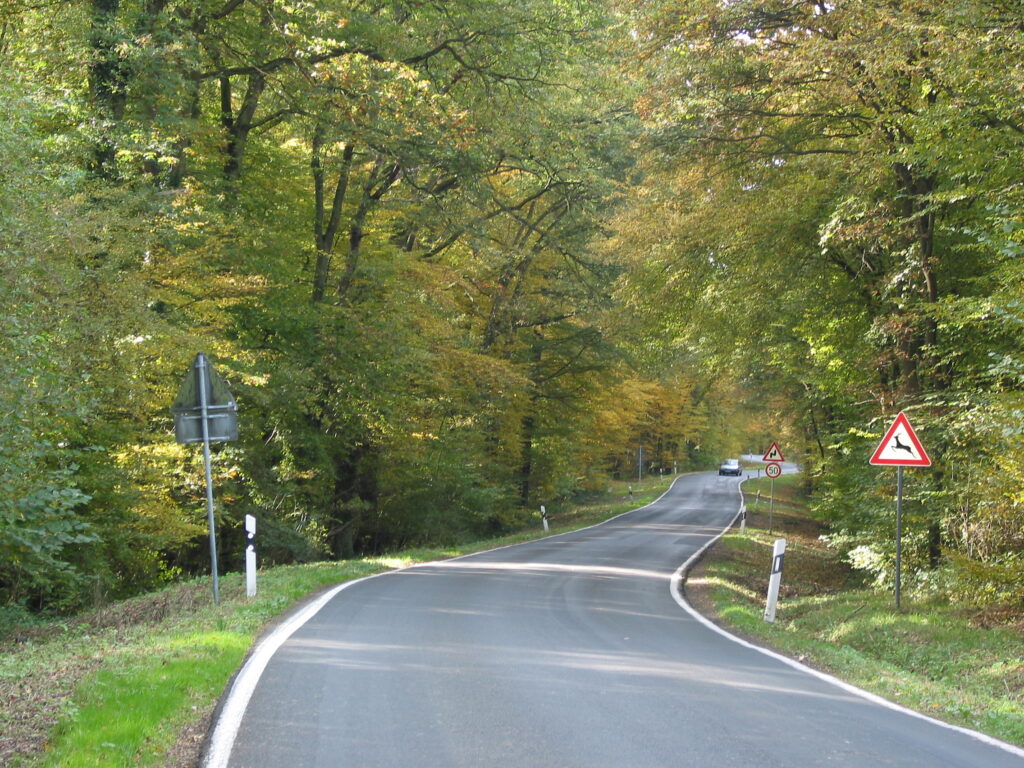 Strasse die durch den Wald führt, mit Beschilderung Vorsicht Wildwechsel