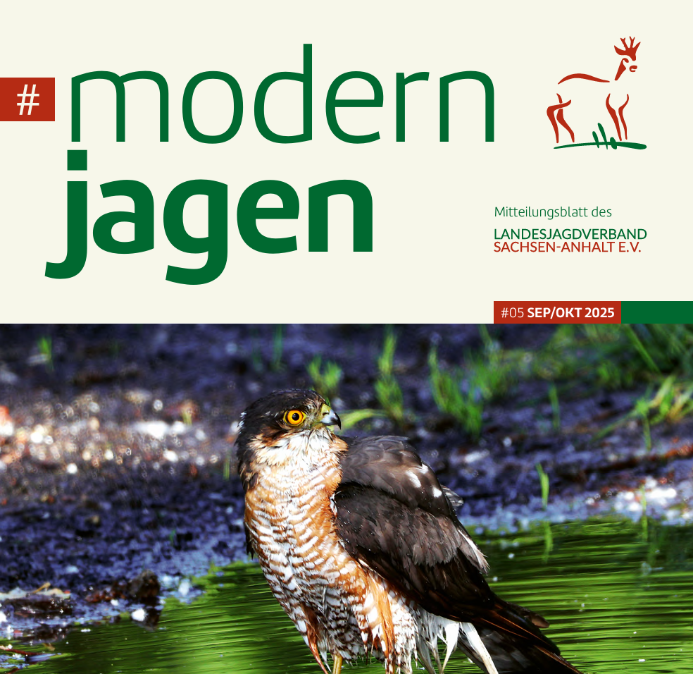 #modernjagen - #05 SEP/OKT 2025