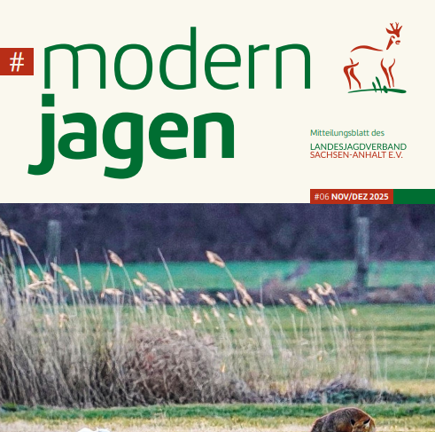 #modernjagen - #06 NOV/DEZ 2025