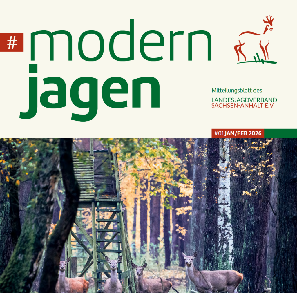 #modernjagen - #01 JAN/FEB 2026