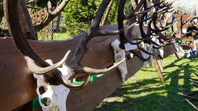 29. Landestrophäenbewertung - 25. April 2026