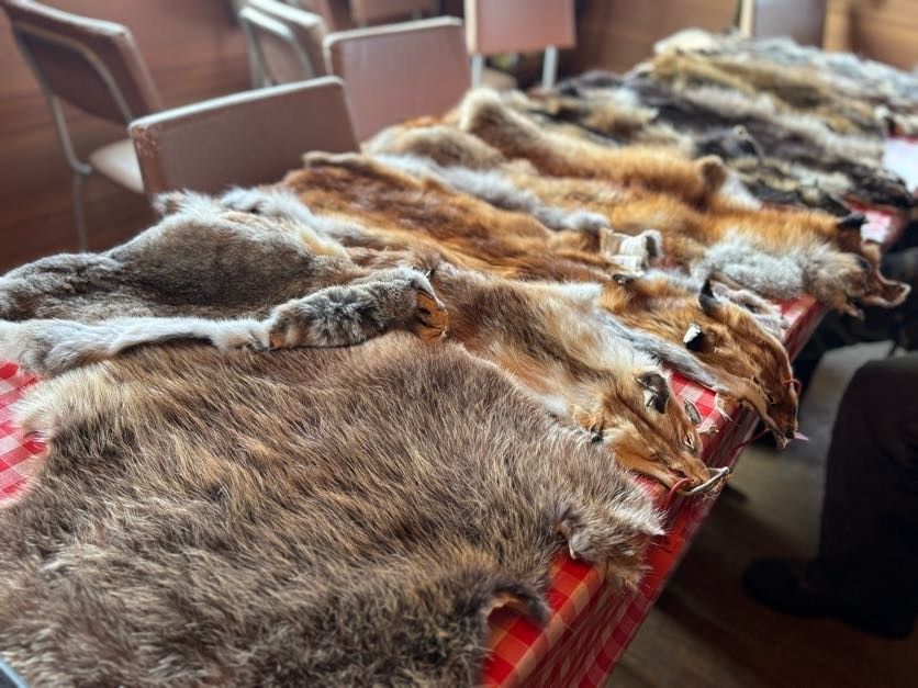 Jagd 02_26-Sophie Schmalian (17) Foto: S. Schmalian