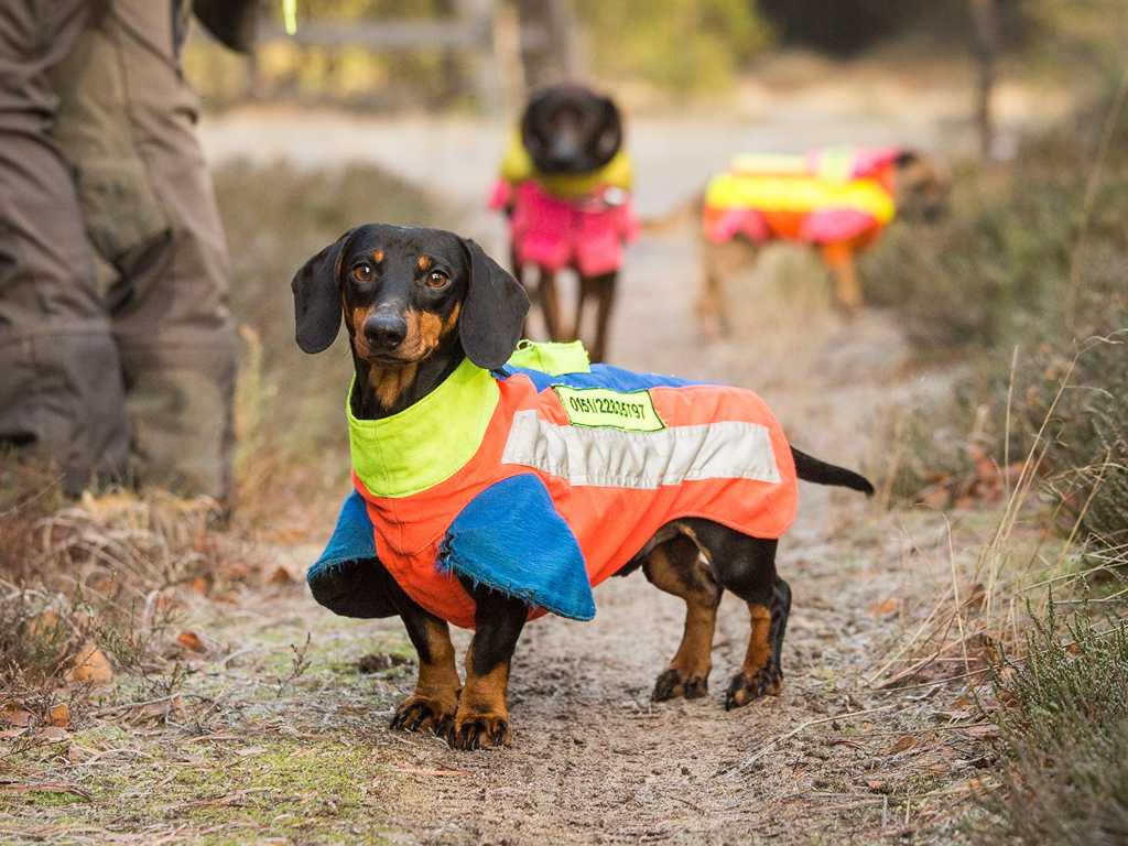 Foto: Flain Fotografie