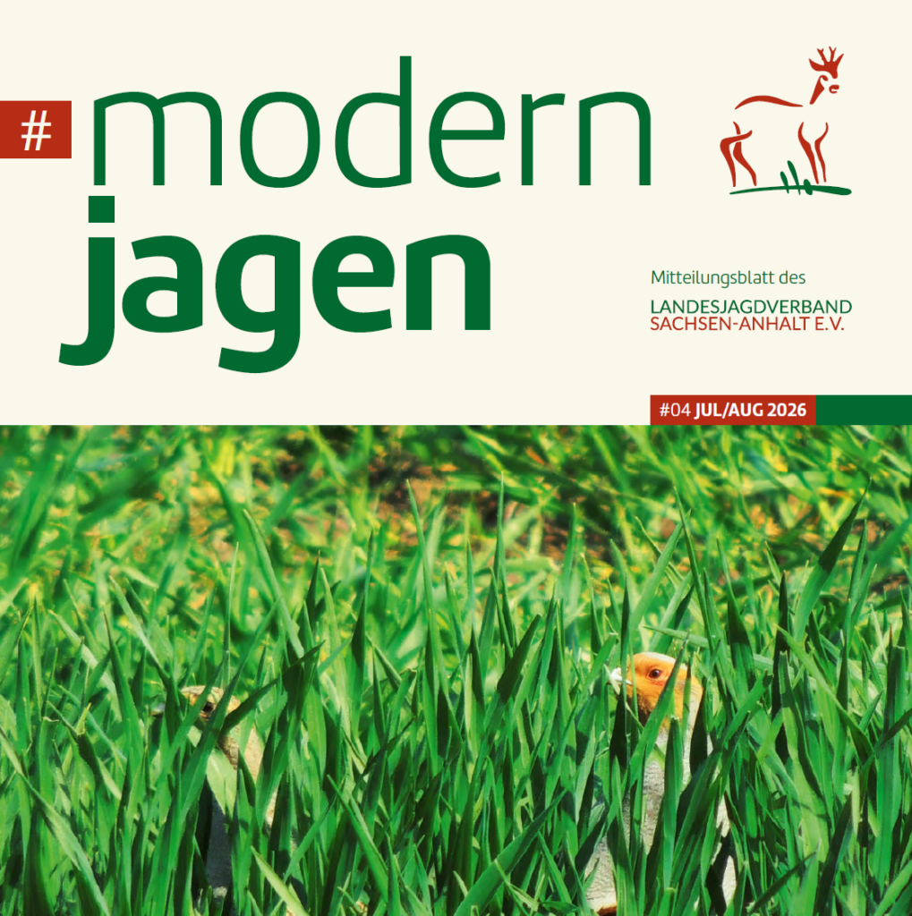 #modernjagen - #04 JUL/AUG 2026