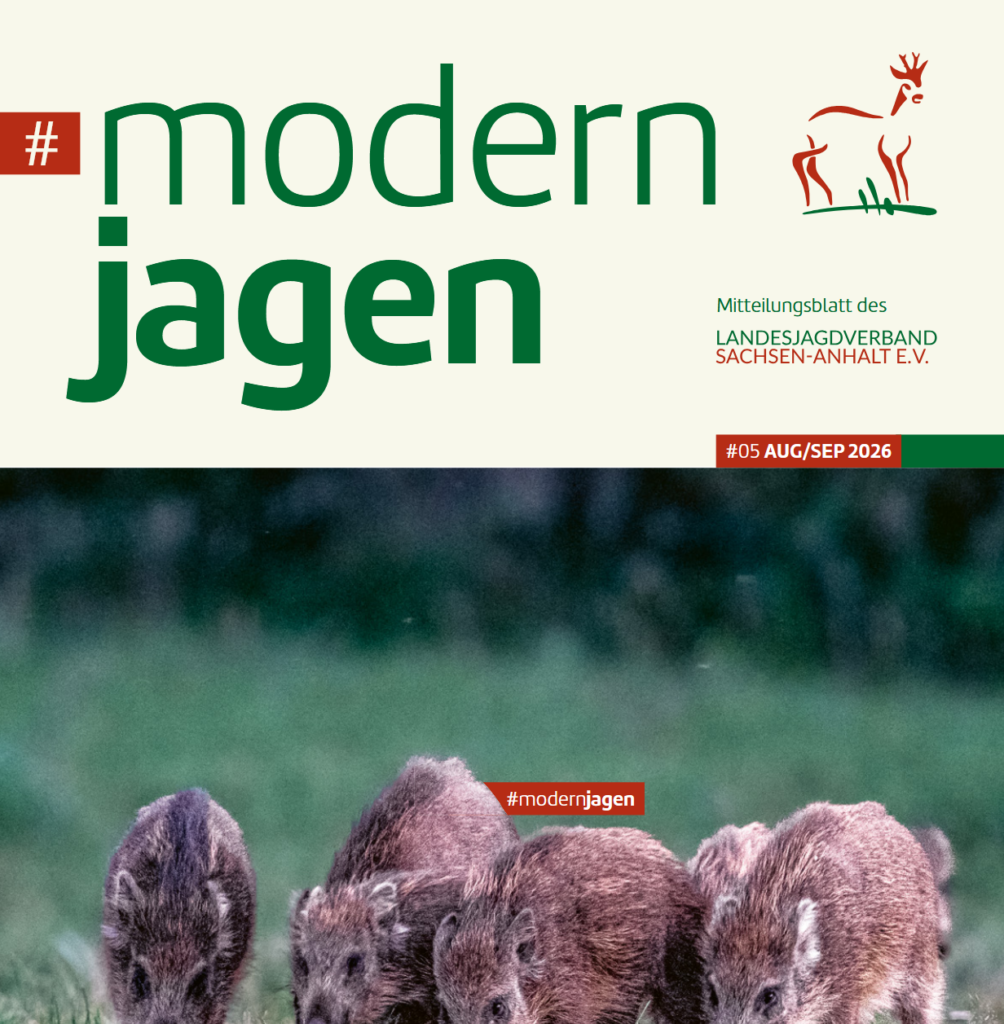 #modernjagen - #05 SEP/OKT 2026