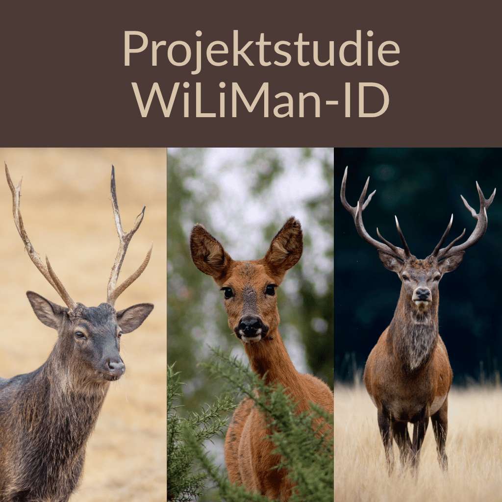 Weitere Studie zur Chronic Wasting Disease